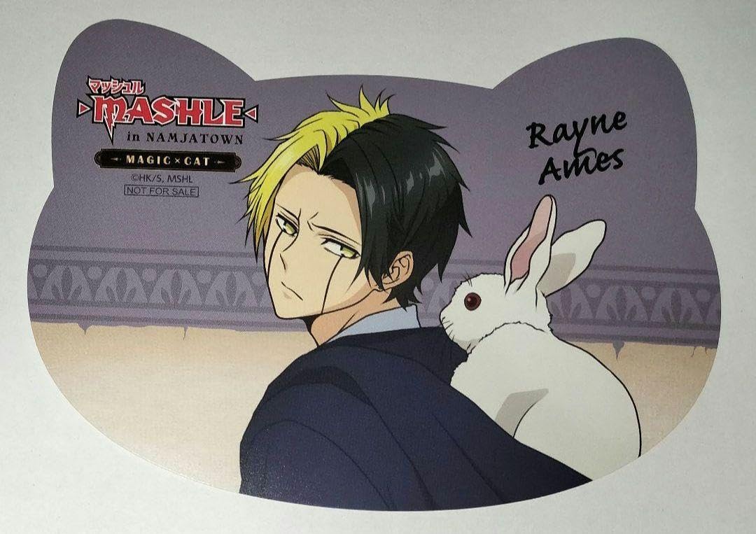 マッシュル レイン ねこ型カード ナンジャタウン レイン ねこ型カード ナンジャタウン マッシュル